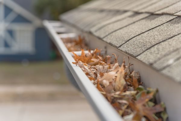 Leaf Barrier Installation in Troy
